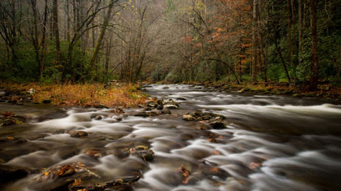 48 Hours of Adventure in the Great Smoky Mountains