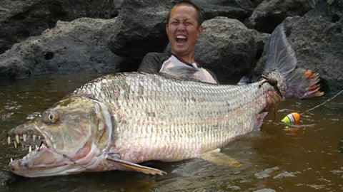 10 of the Nastiest Freshwater Fish on the Planet